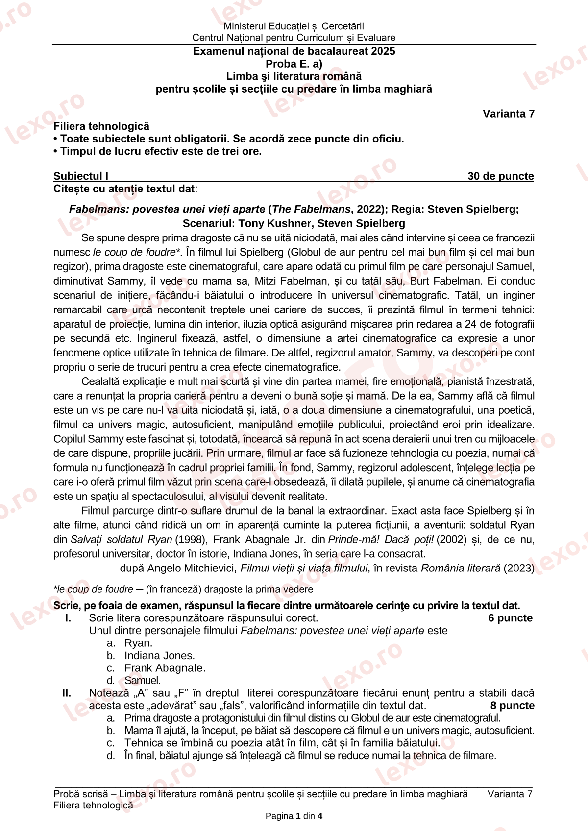 Subiecte Bacalaureat 2025 – Limba română pentru minoritatea maghiară — profil tehnologic – sesiunea iunie–iulie (subiect + barem)