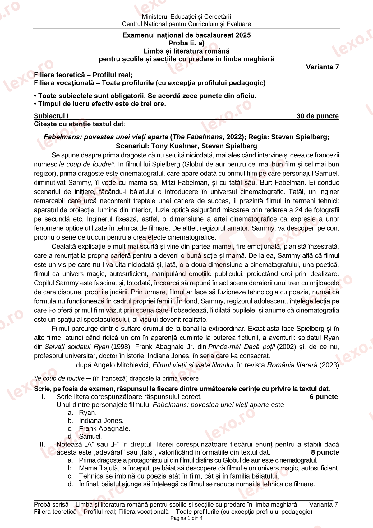 Subiecte Bacalaureat 2025 – Limba română pentru minoritatea maghiară — profil teoretic real – sesiunea iunie–iulie (subiect + barem)